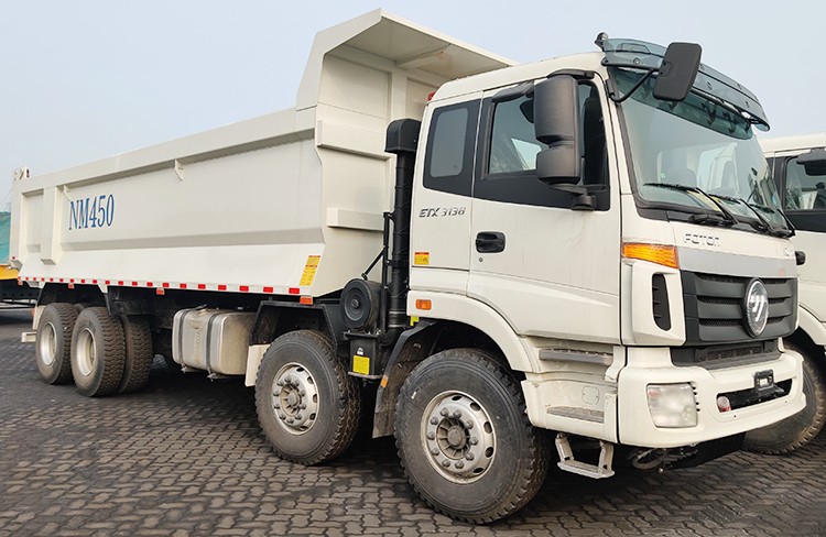 Auman ETX Foton Truck for Sale | Foton 12 Wheeler Dump Truck for Sale in Philippines