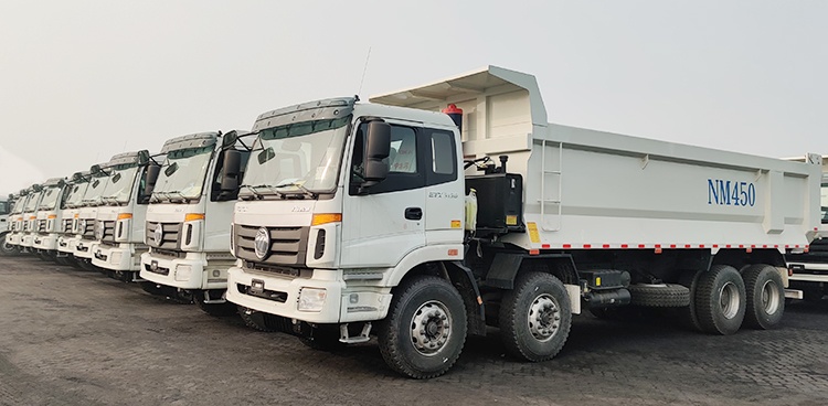 Auman ETX Foton Truck for Sale | Foton 12 Wheeler Dump Truck for Sale in Philippines