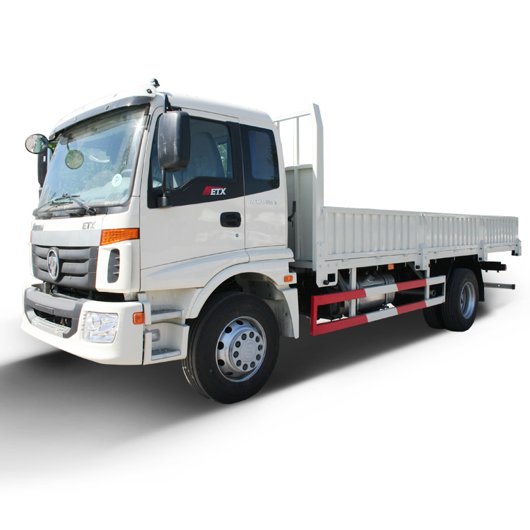 Foton ETX Foton Light Truck 