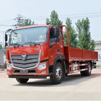 Foton ETX 4x2 Light Truck